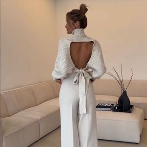 NWT Viral Zara Open Back Sweater